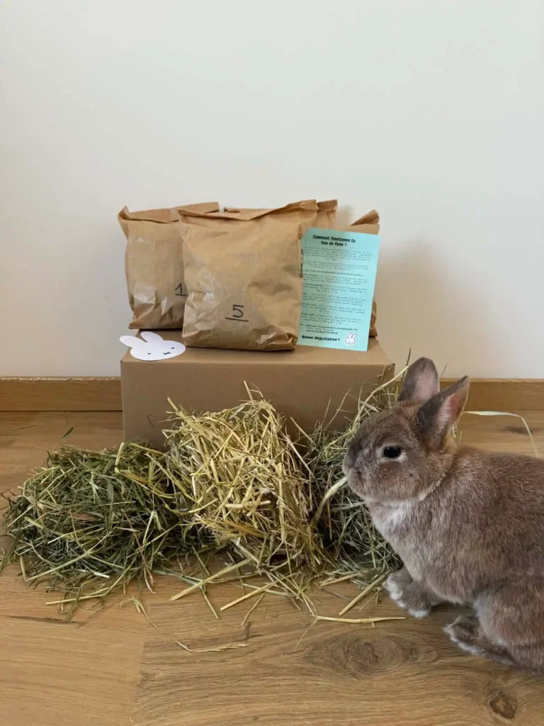 meilleur foin lapin test format box découverte