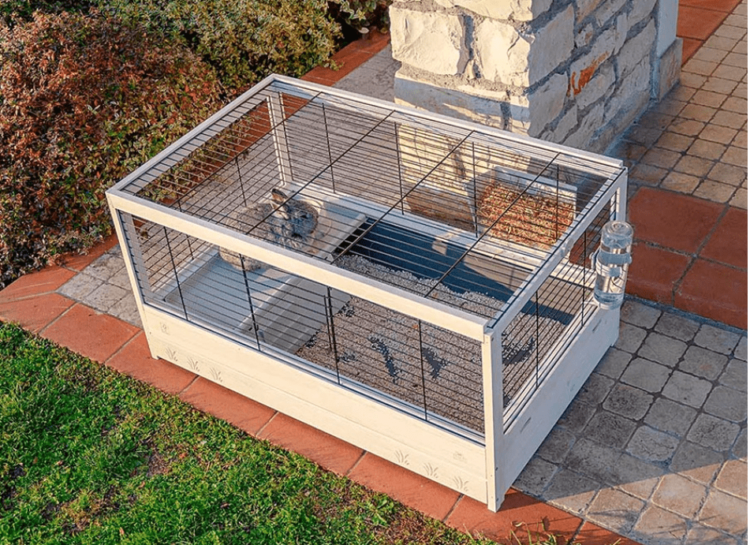 Cage lapin Conseils pour bien la choisir Le meilleur pour mon Lapin