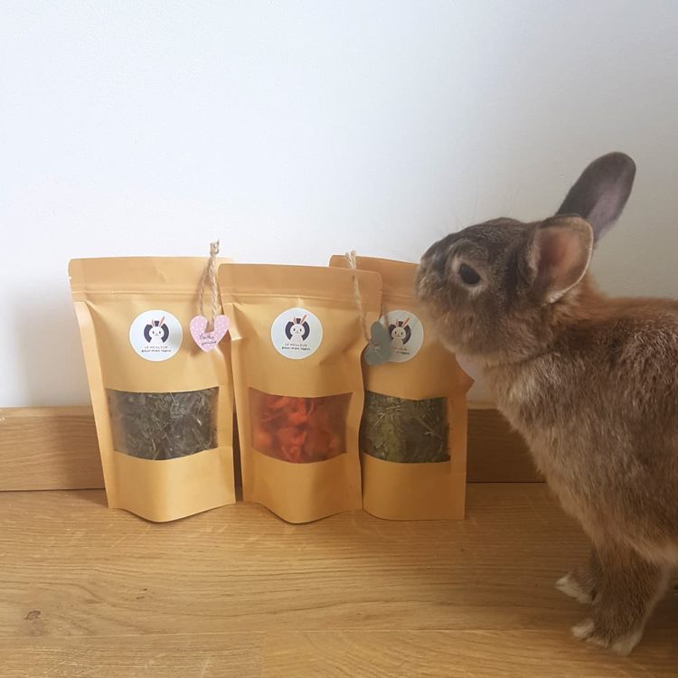 Liste cadeau pour lapin : 12 idées - Le meilleur pour mon lapin