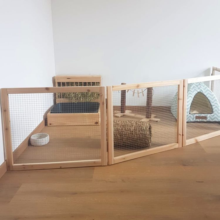 Mon Lapin Ronge Tout Mes Conseils Pour Prot ger Ta Maison mon-lapin-ronge-tout-mes-conseils-pour-prot-ger-ta-maison