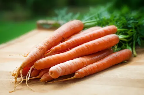stéréotype lapin carotte