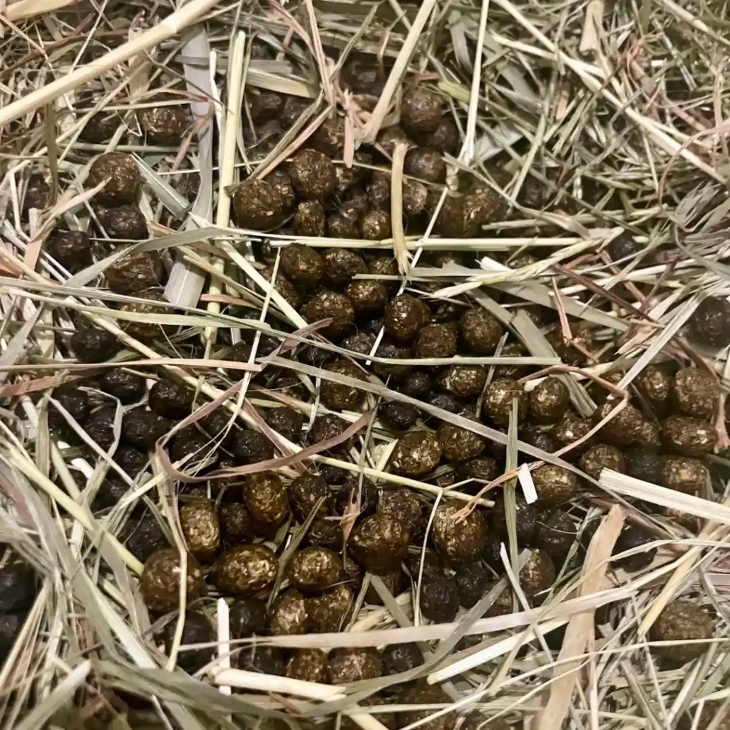 Apprendre à connaitre les crottes de son lapin