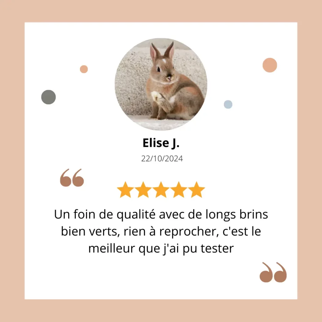 avis sur foin occitanie lapin