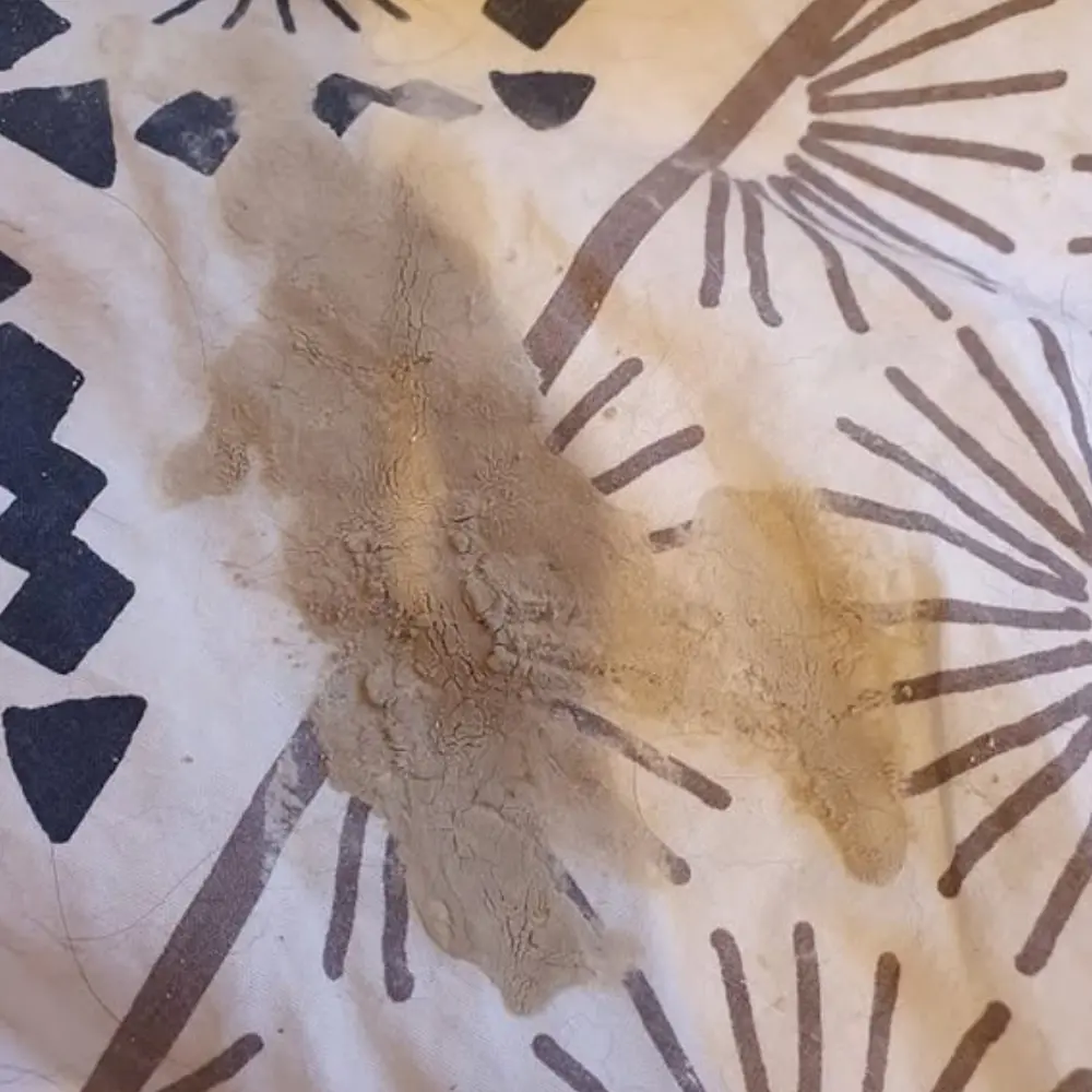 urine sableuse lapin