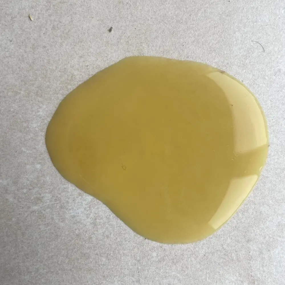 pipi de lapin jaune