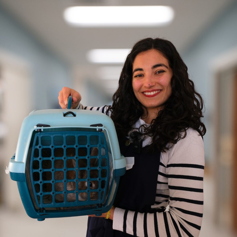 Liste aliment toxique lapin