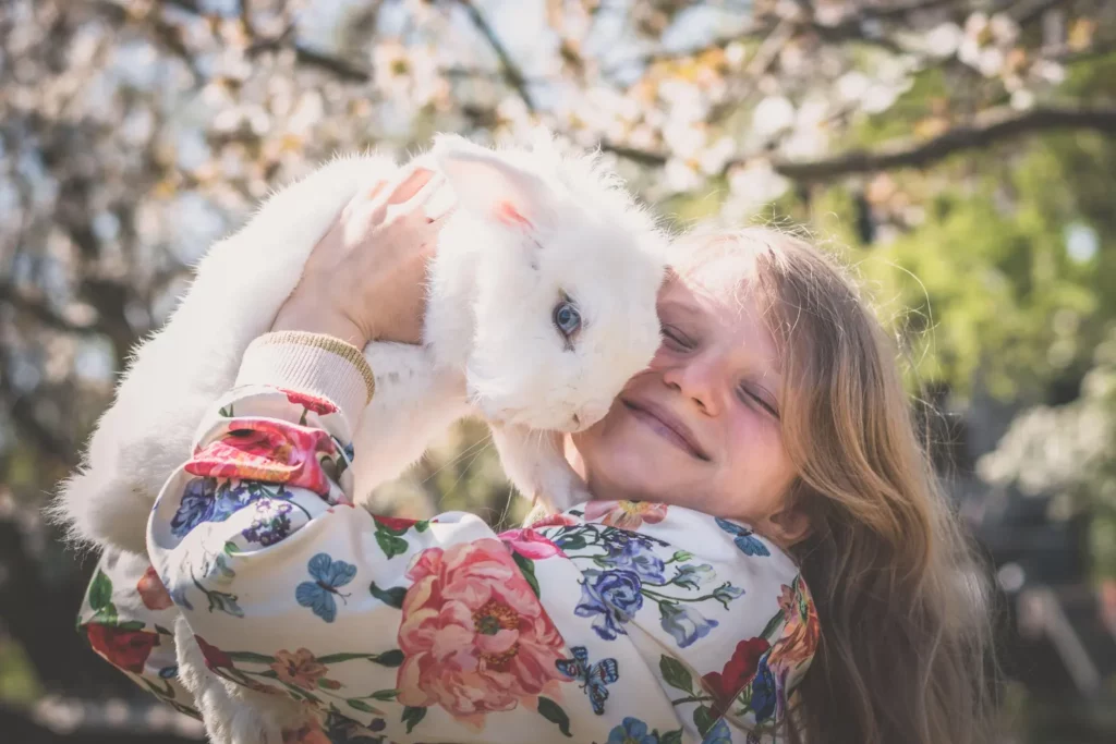 lapin enfant que faire