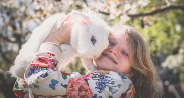 lapin enfant que faire