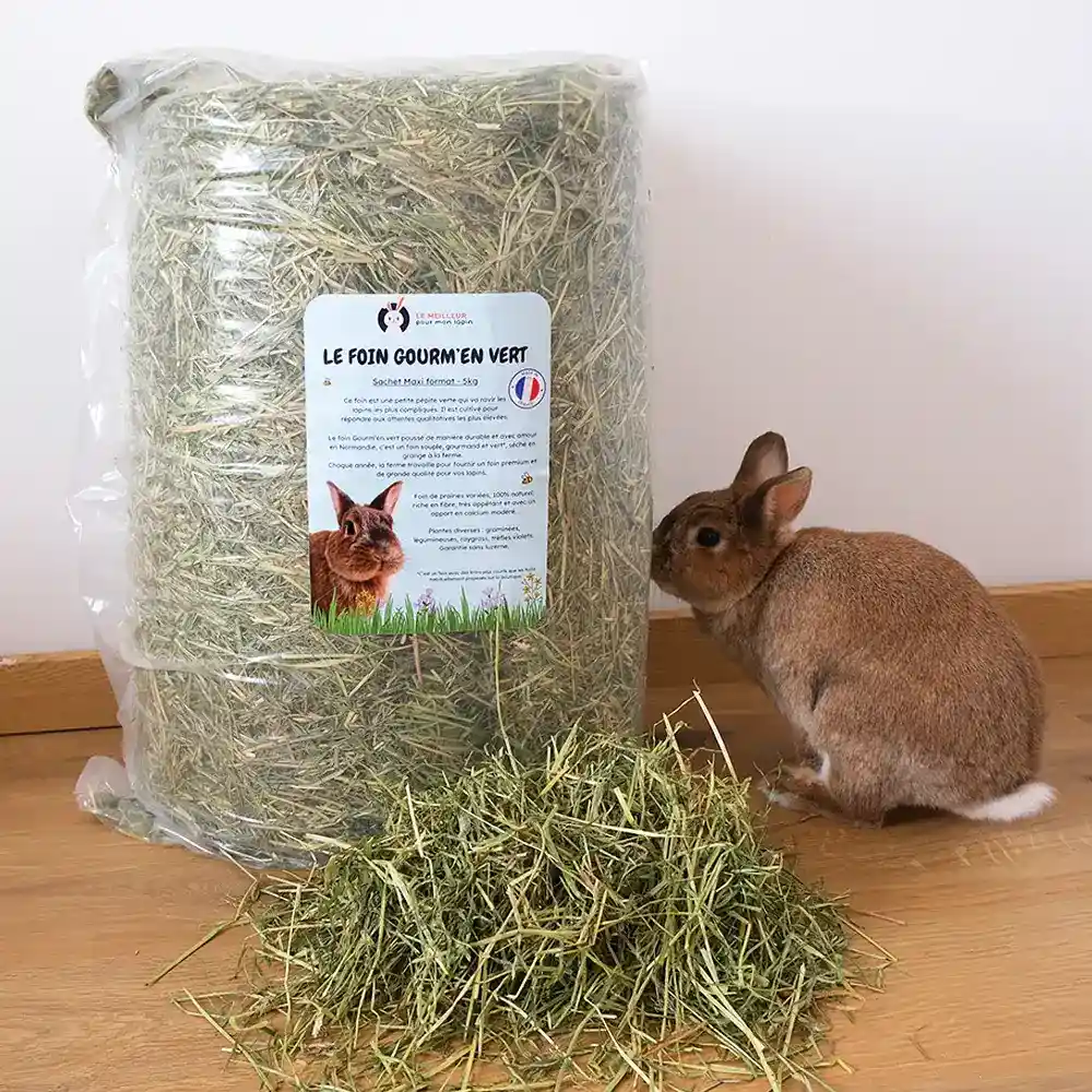 foin-lapin-obèse-poids