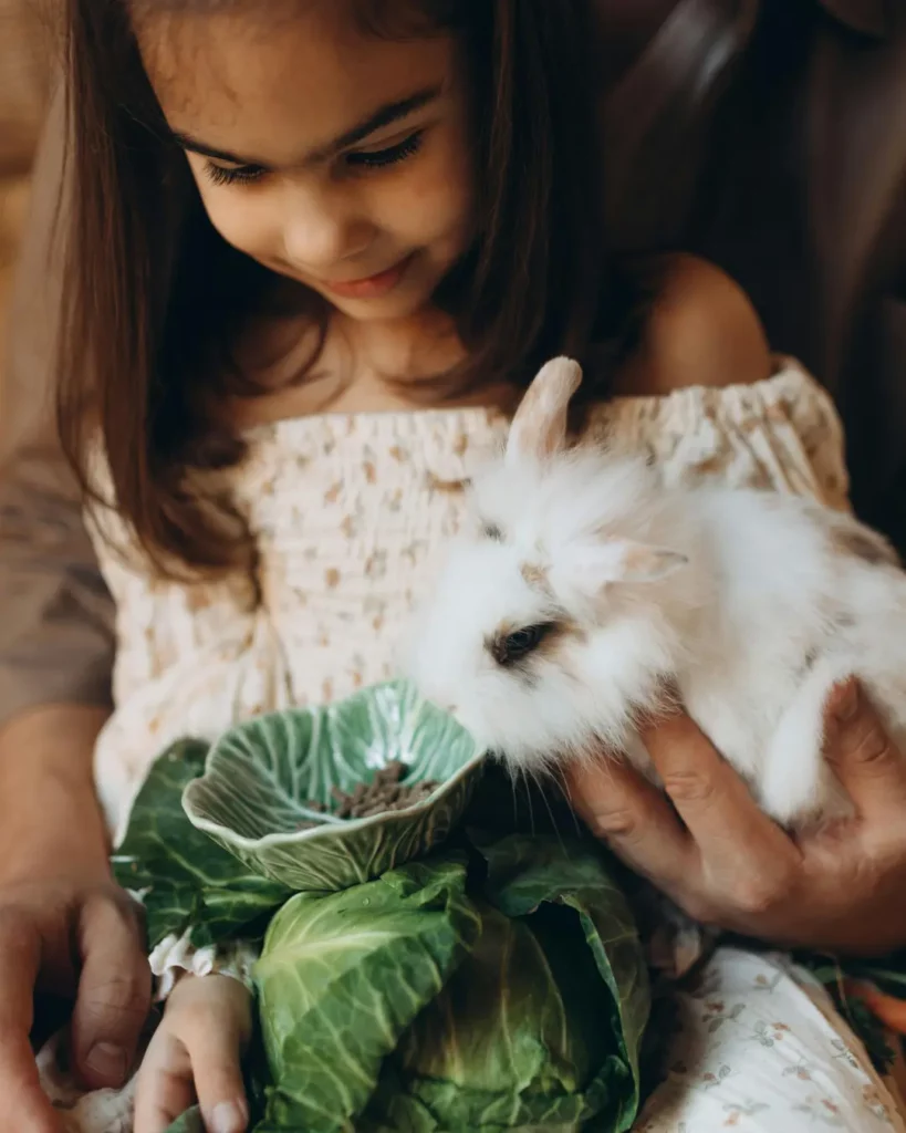 est-ce que le lapin est un animal pour les enfants