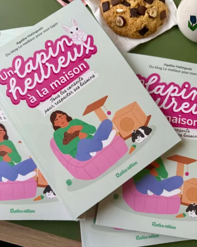 livre-lapin-heureux-maison